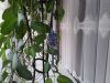 20260126_170852.jpg