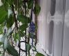 20260126_230254.thumb.jpg.bf699e47e4ab005240935fda307aaecd.jpg