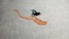 20260127_014913.thumb.jpg.4df9e4396b3bbccf0d7fb77ab0d4cad3.jpg