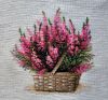 225851427_.thumb.jpg.cbffe8838a6193abebdaf91f13d28fc6.jpg