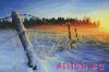 23269.thumb.jpg.4e528f6e44c7efcdb247a26bfc986777.jpg