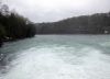 317544521_.thumb.jpg.40680aba37660984b824bf75fe5f2c1c.jpg