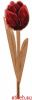 50789.thumb.jpg.4b061f22f63166b38b045ffa9882af62.jpg