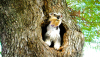 606512655_41.thumb.png.b9605acd76fbe2e5d51e8083ae453b96.png