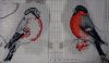 Bullfinch2.jpg.c0580b774cc217ba87499fe0c3f02c26.thumb.jpg.34767e1b1afcbcb9ce1b36a6ffcb5453.jpg
