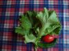DSC06276.thumb.JPG.f798876e132ae3426677915af2aac29a.JPG