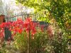 DSC06303.thumb.JPG.cac2de8af4d35379e0d66dd8ada8faa3.JPG
