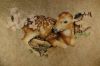 DSC_8586.thumb.JPG.76e48a0599850d3f4bcd11b78bc73dea.JPG