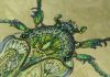 DSC_8604.thumb.JPG.db83fe67cc6b90806133751b0e159194.JPG
