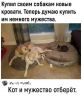 IBcPgPRE2IAGJQkZf98XMWAT2FQW-g94TKEb1hy5z3trm4XH1F0JGjXNHBr1JYphVdyQi9z2ynICDwAWPppQtXPk.thumb.jpg.879e6b4973a4e40b88bac0877addc183.jpg