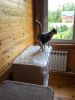IMG-20250601-WA0004.thumb.jpg.2e3e2fc87f5065e24a080b5afcc72f03.jpg