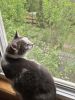IMG-20250601-WA0033.thumb.jpg.ecff9fe0afb3e59edb40fc3b2721f700.jpg