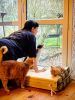 IMG-20251103-WA0001.jpg