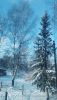 IMG-20260101-WA0001.jpg