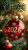 IMG-20260111-WA0001.thumb.jpg.9642171d049efec800cf9e96edaeca5e.jpg