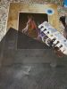 IMG20260102125502.thumb.jpg.2dc3b26a300513f828f921b71670c47f.jpg