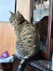 IMG_0829.thumb.jpeg.c88b339d9f2737643e84c8a6bb2d4d69.jpeg