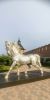 IMG_20250607_223303.thumb.jpg.29401321cd1a18bcbcf268c3131c48b4.jpg