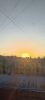 IMG_20250711_230542.thumb.jpg.15a9f201fa10b609be18d35b47aef5f8.jpg