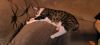 IMG_20250712_182621.thumb.jpg.1e66e951cb18ecf2dbbc4f453bf30863.jpg