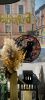 IMG_20250713_213333.thumb.jpg.6fa7dcc3ee1cd31b0f292844a8eeae16.jpg