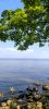 IMG_20250715_214947.thumb.jpg.4aeeeef46124c54a875778edfc7669e8.jpg