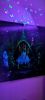 IMG_20250725_232906.thumb.jpg.9636d590bed1870e1de00dd9f1aee7d7.jpg