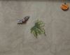 IMG_20251225_211756.thumb.jpg.b99be99151622dd3d21d00a02bab2aa7.jpg