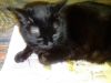 IMG_20251231_230639.thumb.jpg.bb2a476aa1bfb76f6ef5643bbc7463af.jpg