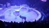 IMG_20260104_114825.thumb.jpg.27370b85f584091e44106f6ebc00f96b.jpg