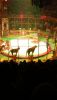 IMG_20260104_123528.thumb.jpg.162553ec78db2d14e91a6c9f52c788cd.jpg