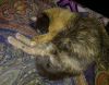 IMG_20260106_163421.thumb.jpg.1b4c285ae270b9eb52d363acad350019.jpg