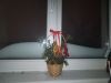 IMG_20260109_070457.thumb.jpg.b2d901846c2eebe926cce50c2c97869f.jpg