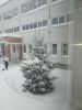IMG_20260109_104851.thumb.jpg.de5023b89fc818239ae2b833daa0abb6.jpg