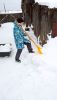IMG_20260109_115523.thumb.jpg.f5295d2cd90da631c5390fee51d32781.jpg