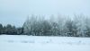 IMG_20260110_140111.thumb.jpg.072dd857ff339ac4bfc1213b6df9892b.jpg