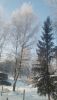 IMG_20260111_132332.thumb.jpg.4c50405286dce45b25d3c96d8cd1ded5.jpg