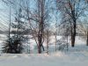 IMG_20260111_154159.thumb.jpg.dd6c05ebbbd401be316ac3653bc9ee4d.jpg