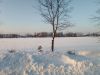 IMG_20260111_154458.thumb.jpg.00d9dc36aa4fadf33e6e8c7646769be3.jpg