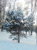 IMG_20260111_155616.thumb.jpg.e44510e62e96637227bfee25cbd2c433.jpg