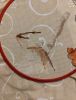IMG_20260113_013513.thumb.jpg.bc42df40ce42c6cb93741833b2e5fa9c.jpg