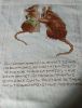 IMG_20260114_170045.thumb.jpg.2d2375cf50825be8d6097617b014976f.jpg