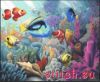 IMG_20260116_204517.thumb.jpg.7dd40cfd2779b9bb291b1eb70bcc3cbe.jpg