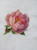 IMG_20260117_154257.thumb.jpg.80a4e69b76c26ba63670552779956f37.jpg