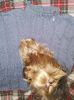 IMG_20260118_204222_686.thumb.jpg.ae98396044003ce0b4fb62bf58105a4d.jpg