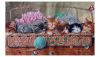 IMG_20260122_135207.thumb.jpg.a3bd73c73553b8ba1bcc92de683952f8.jpg