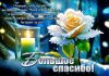 IMG_20260122_140221.thumb.jpg.de2ccbaddf0296d84f7e2054ccd0a22c.jpg