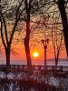 IMG_20260123_165542.jpg
