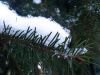 IMG_20260124_090019.thumb.jpg.92cf6f3ef3d3eddf6926c0150a5f1cd8.jpg