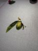 IMG_3728.jpeg